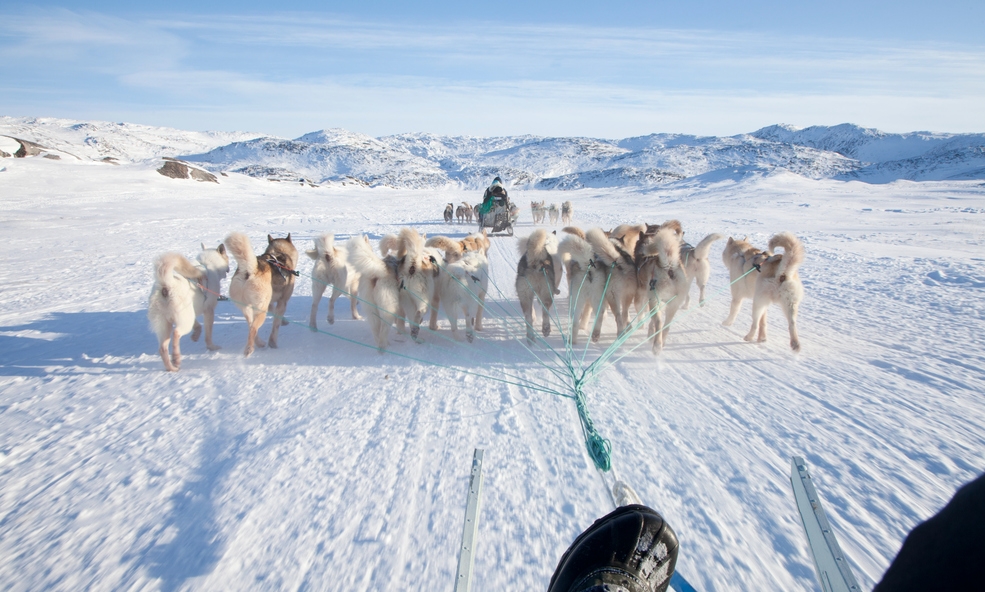 Dog_sled_ride_on_main_trail_in_Ilulissat._Photo_-_David_Trood_Visit_Greenland_slider_1752593250.jpg
