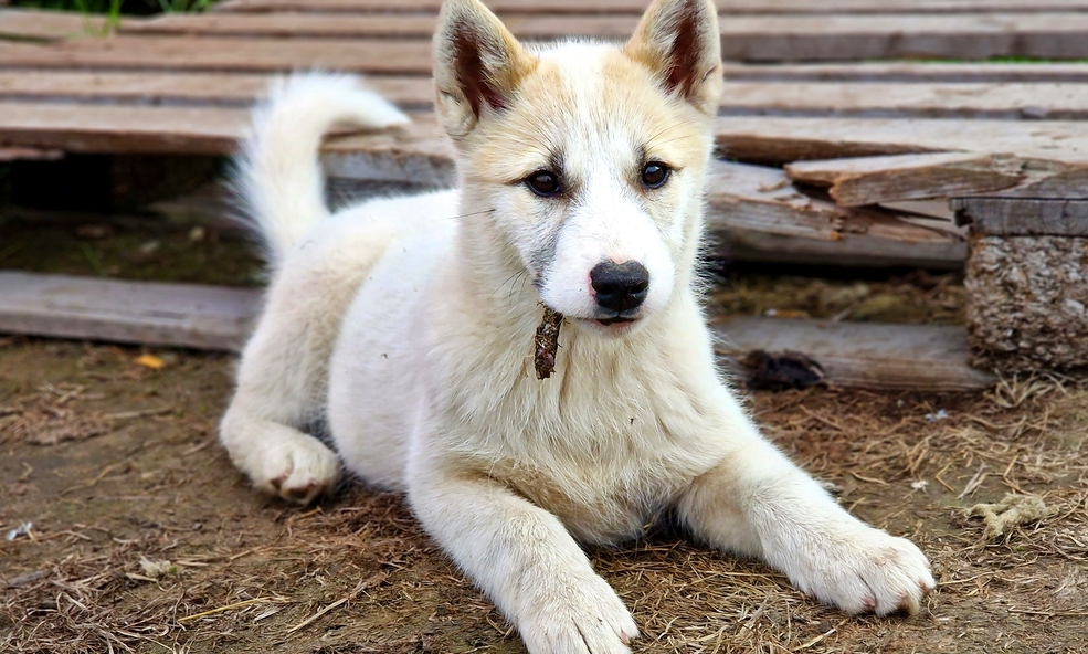 Sisimiut_20230822_105907_slider_1738914043.jpg