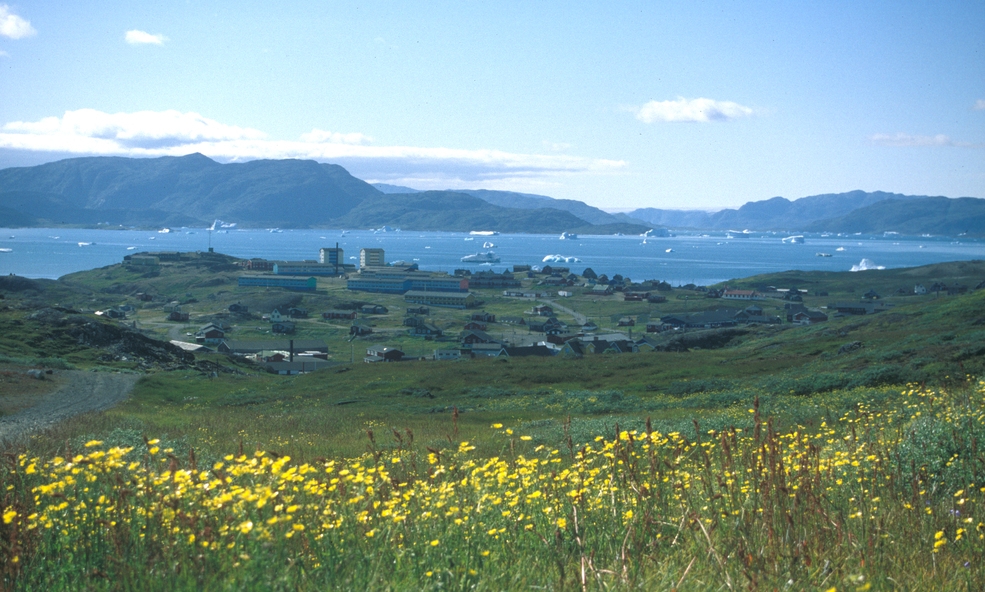 narsaq2_slider_1751355995.jpg